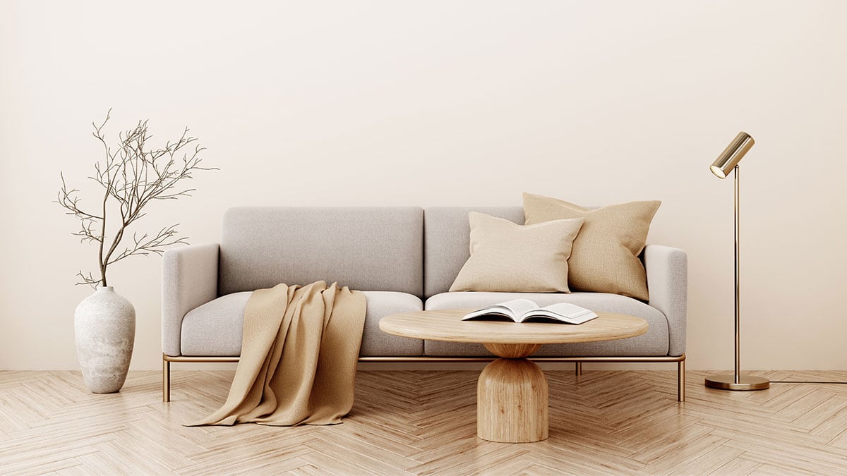 Japandi Coach, vase, and wooden coffee Table